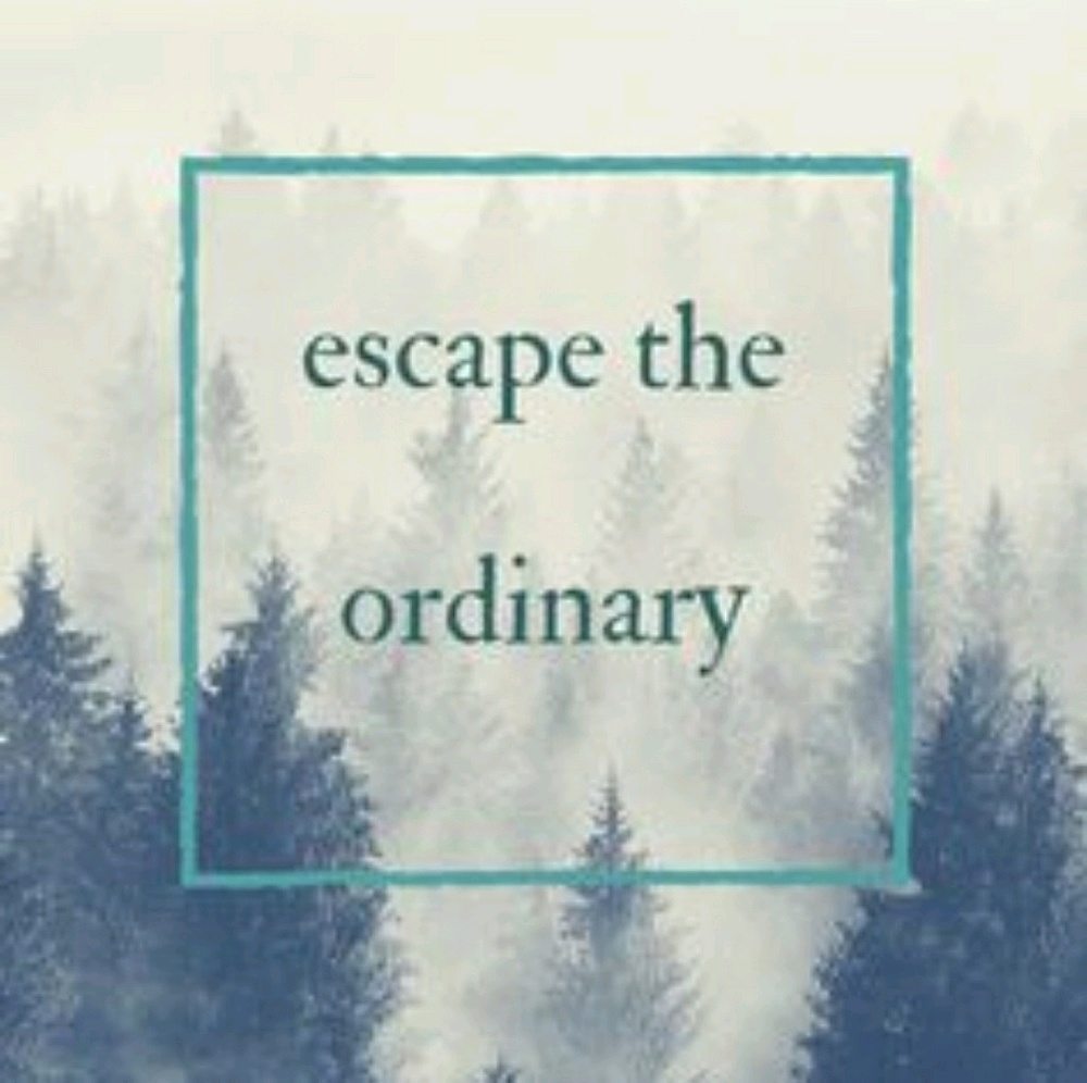 Meet your Posher, Karima